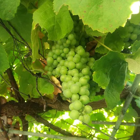 La Casita De Barranan Playa * Arteixo